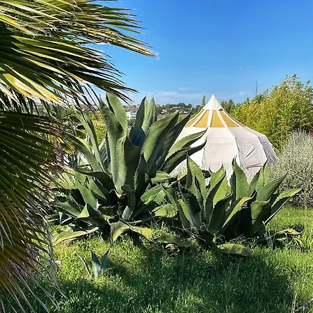 Orman Evi Rever - Glamping And Pietrelcina